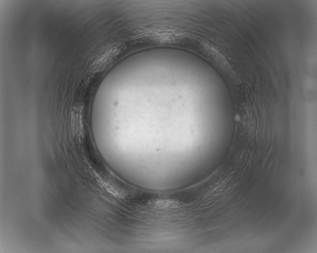 X0000052610590200507081848