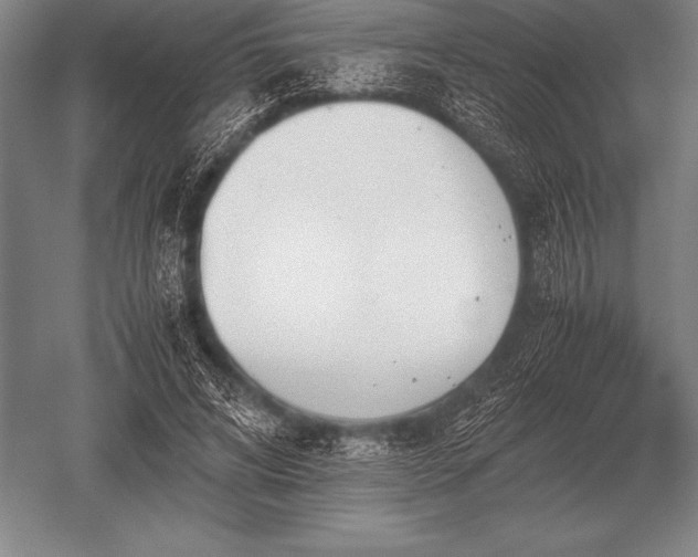 X0000052610592200507081848