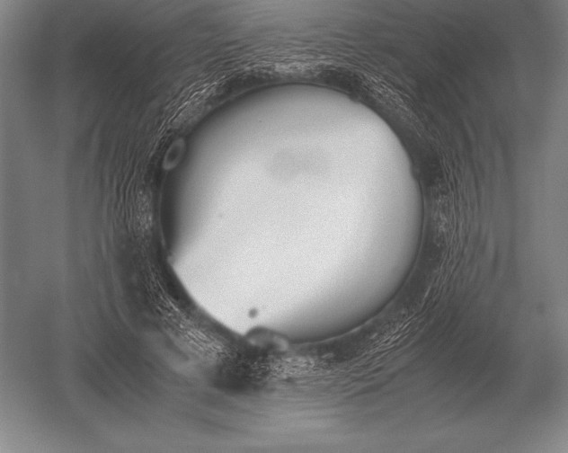 X0000052610593200507081848