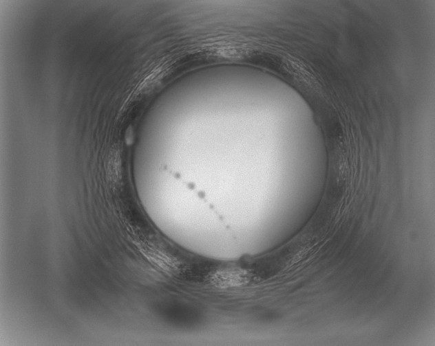 X0000052610595200507081848