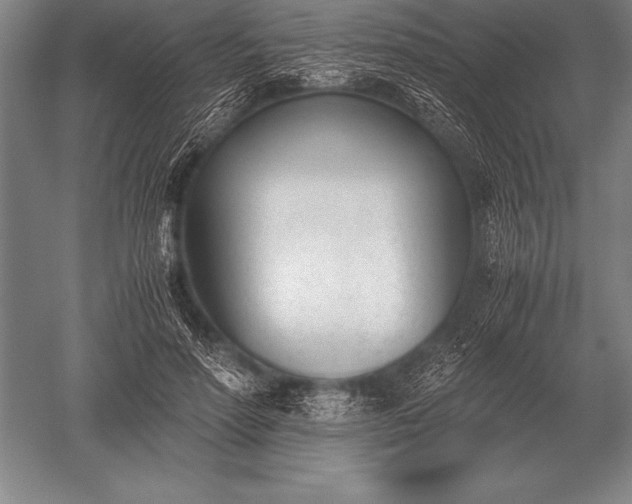 X0000052610598200507081848