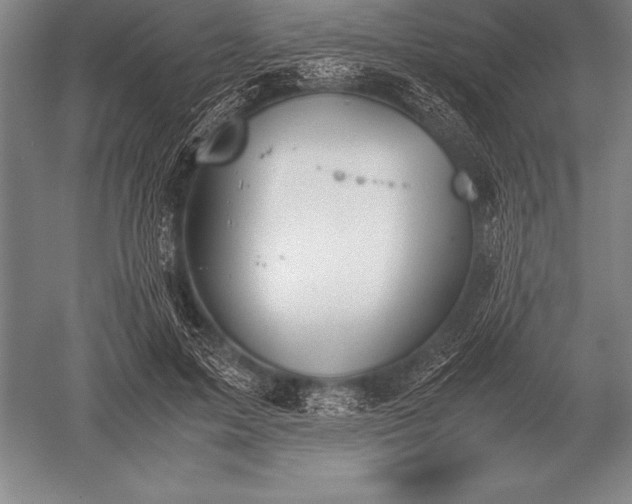 X0000052610599200507081848