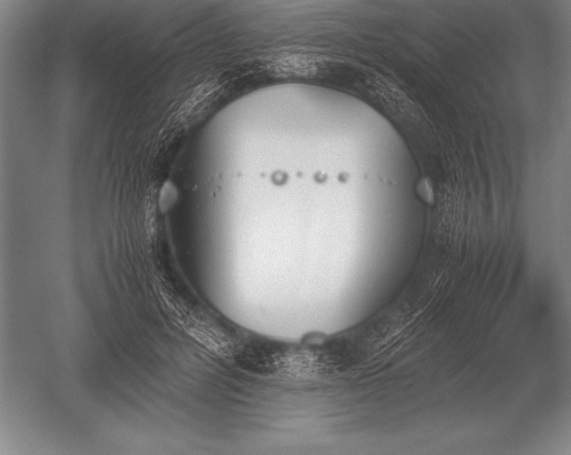 X0000052610600200507081848