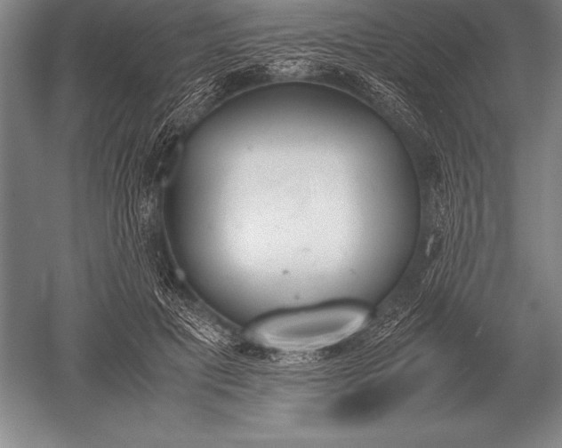 X0000052610601200507081848