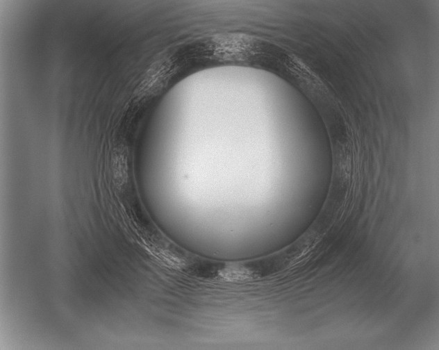 X0000052610603200507081848