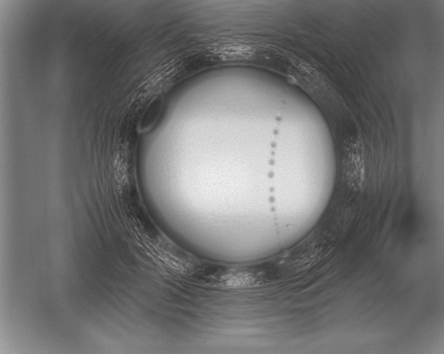 X0000052610604200507081848