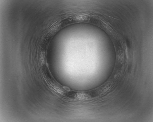 X0000052610605200507081848