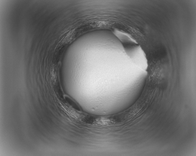 X0000052610607200507081848