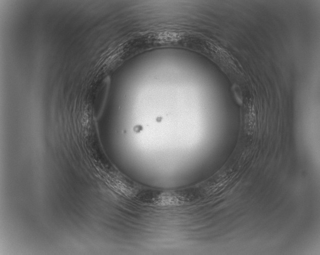 X0000052610608200507081848