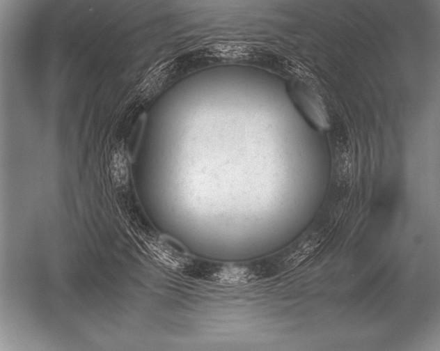 X0000052610609200507081848