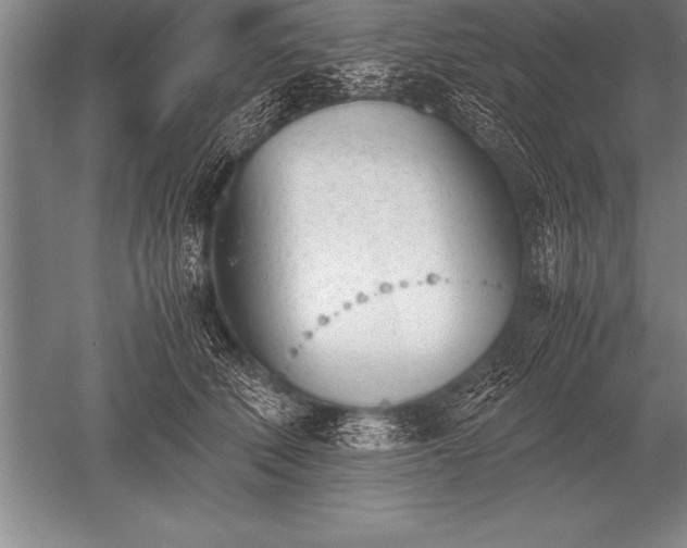 X0000052610610200507081848