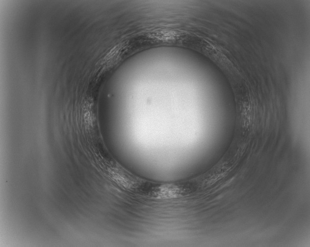 X0000052610612200507081848