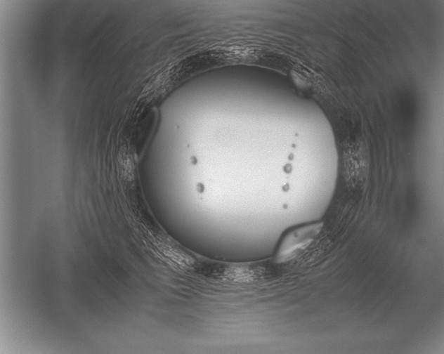 X0000052610613200507081848