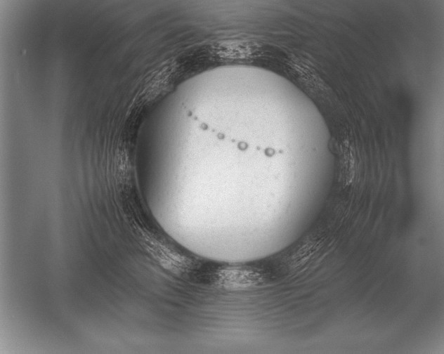 X0000052610614200507081848