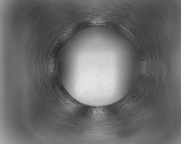 X0000052610618200507081848