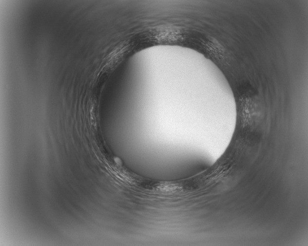 X0000052610619200507081848