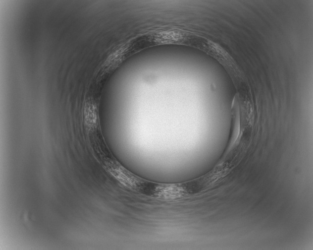 X0000052610621200507081848