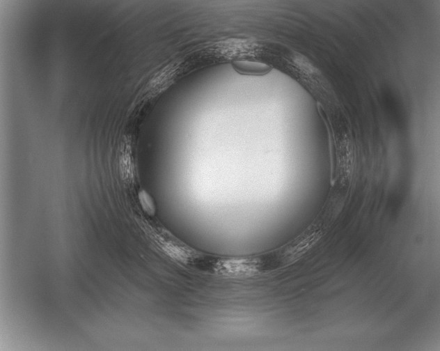 X0000052610622200507081848