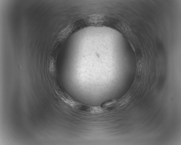 X0000052610623200507081848