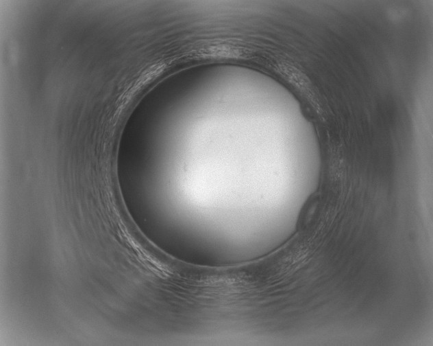 X0000052610625200507081847