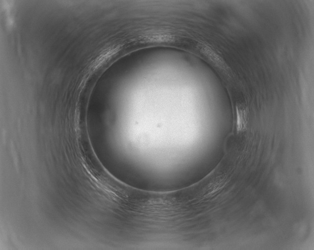 X0000052610627200507081847