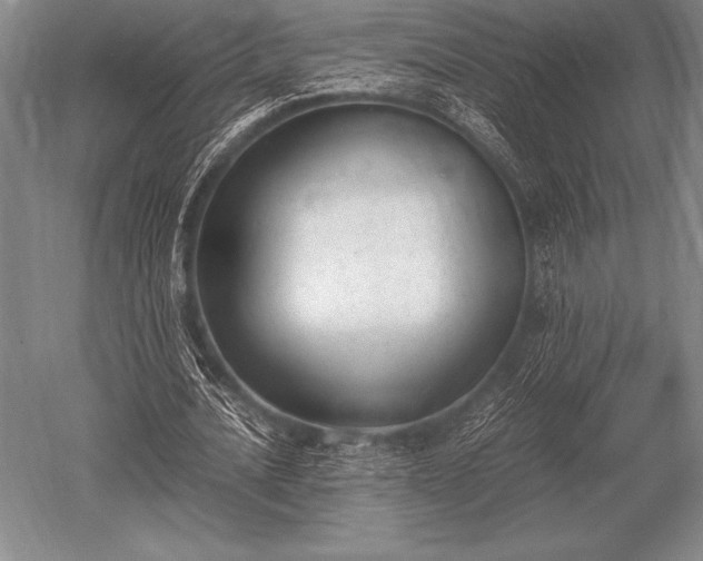 X0000052610628200507081847