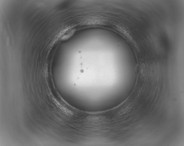 X0000052610629200507081847