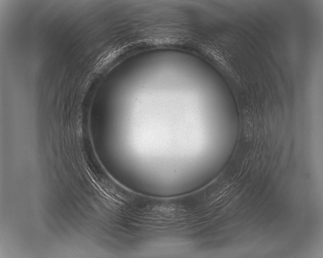 X0000052610631200507081847