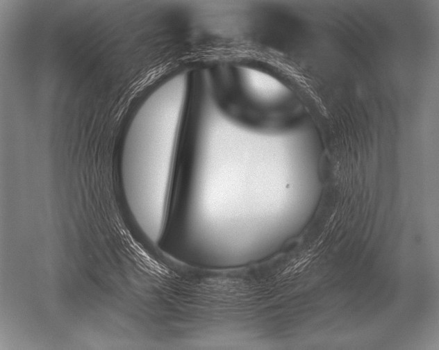 X0000052610633200507081847