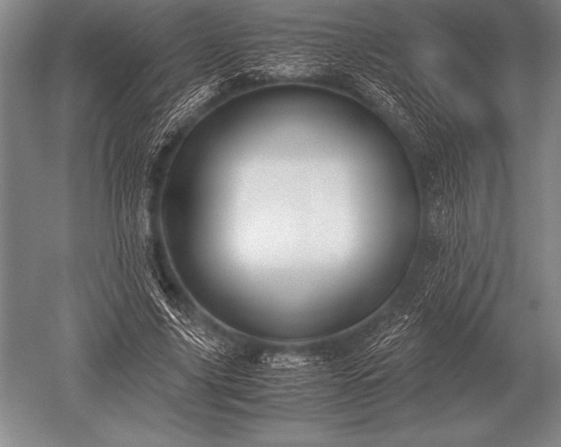 X0000052610635200507081847