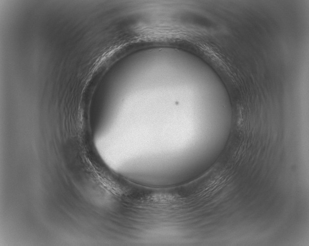 X0000052610636200507081847