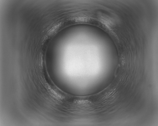 X0000052610637200507081847