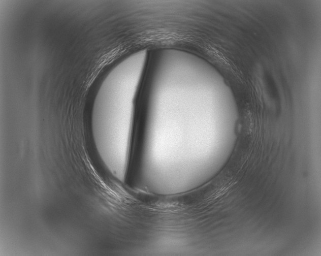 X0000052610638200507081847