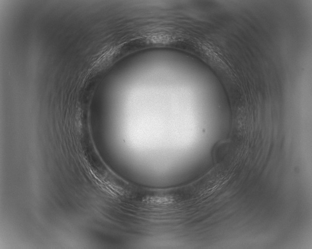 X0000052610639200507081847