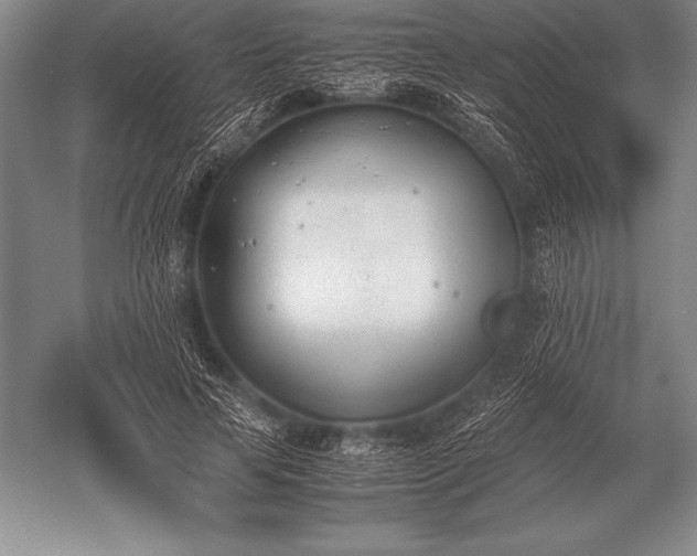 X0000052610641200507081847