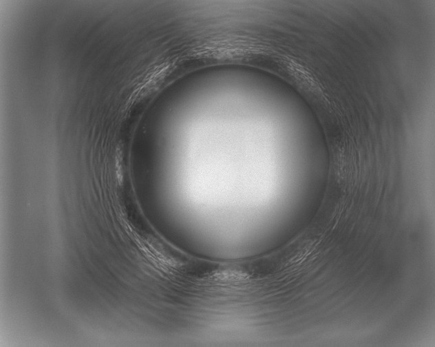 X0000052610644200507081847