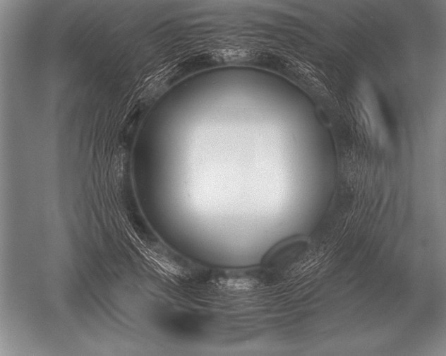 X0000052610645200507081847