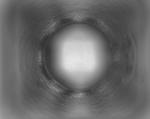 X0000052610646200507081847