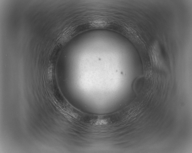 X0000052610647200507081847