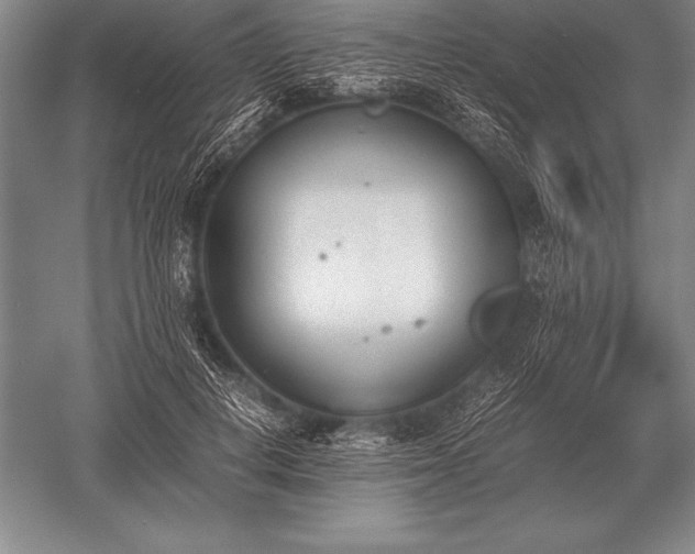 X0000052610648200507081847