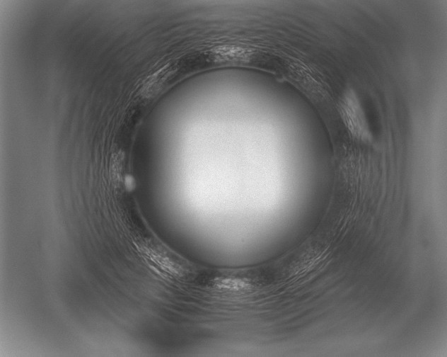 X0000052610649200507081847