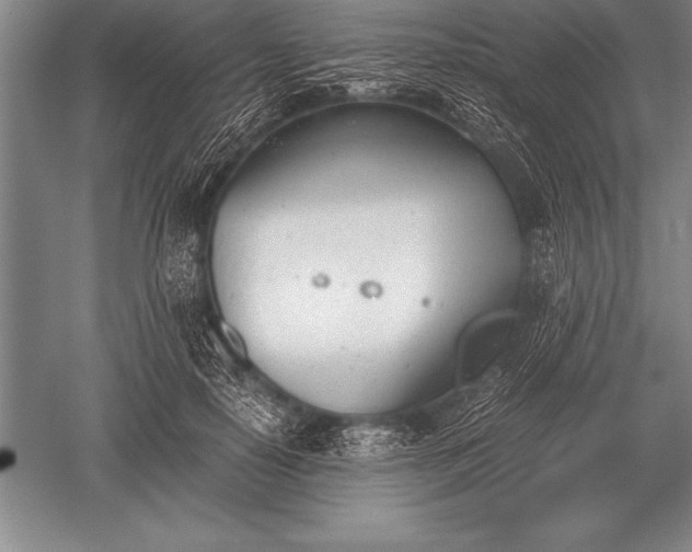 X0000052610650200507081847