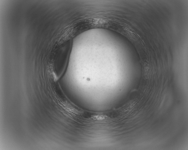 X0000052610654200507081848