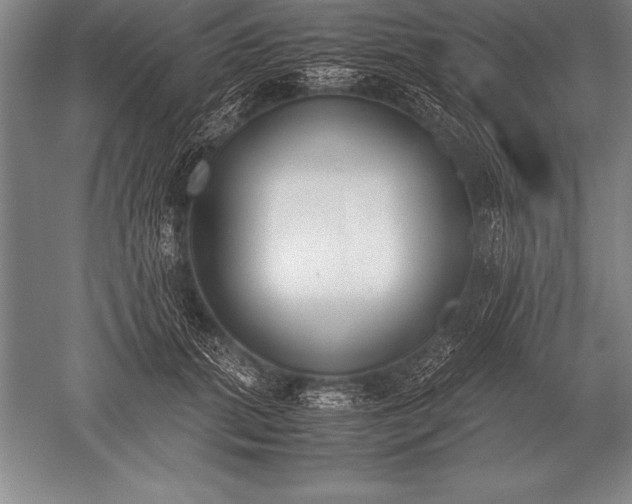 X0000052610655200507081848