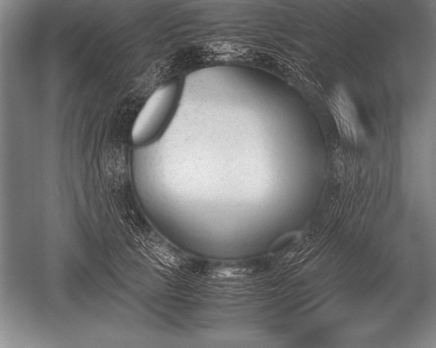 X0000052610657200507081848