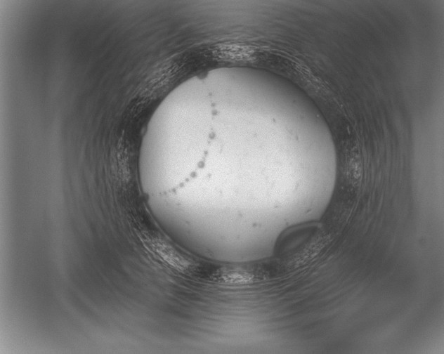 X0000052610658200507081848