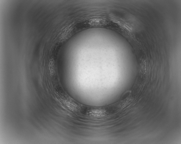 X0000052610659200507081848