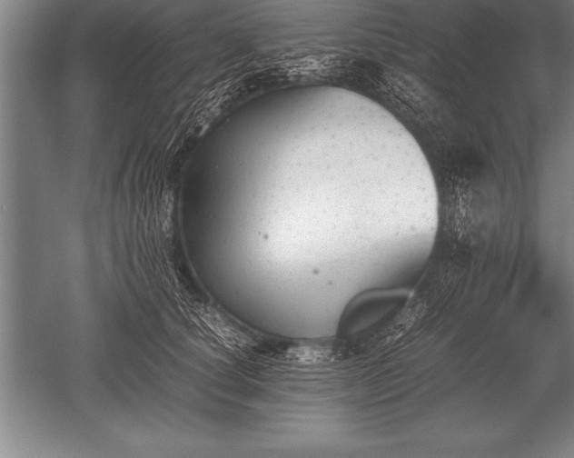 X0000052610660200507081848