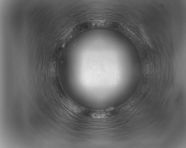 X0000052610661200507081848