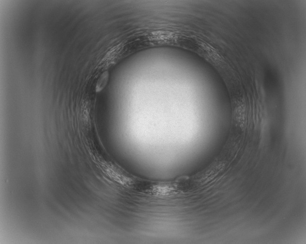 X0000052610662200507081848